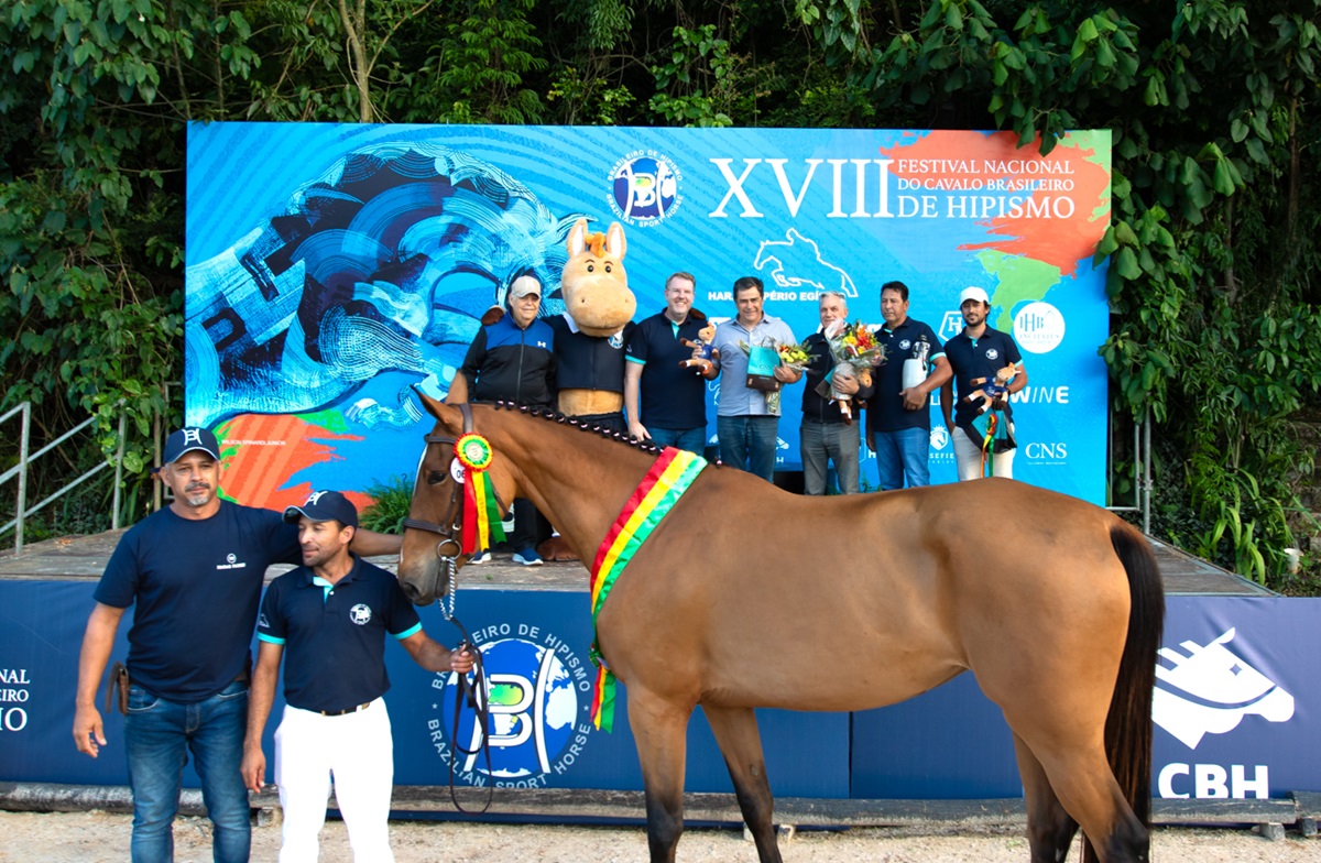 Equipe do Haras Flores Vence Disputa Inédita por Equipes no Festival do BH