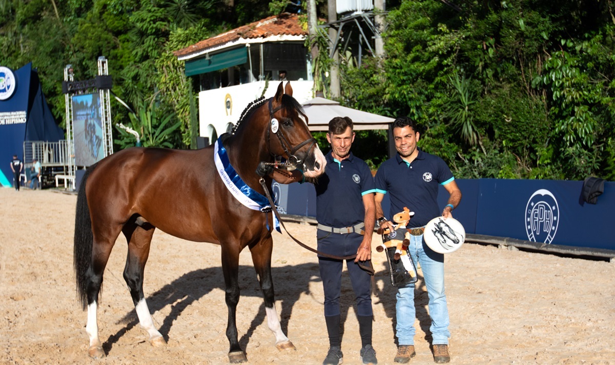 Cashmen JMen Premiado Após Melhor Nota entre Garanhões Aprovados – Salto Montado