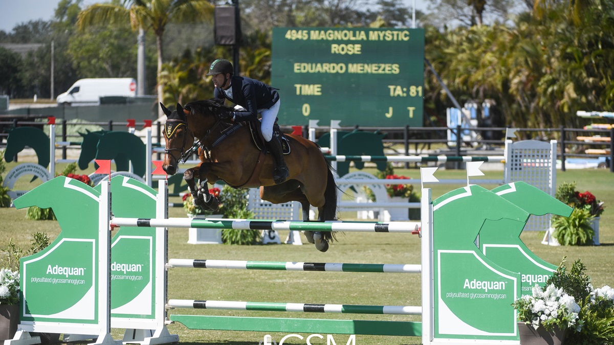 Lista dos Principais Eventos da Semana com Links para Informação