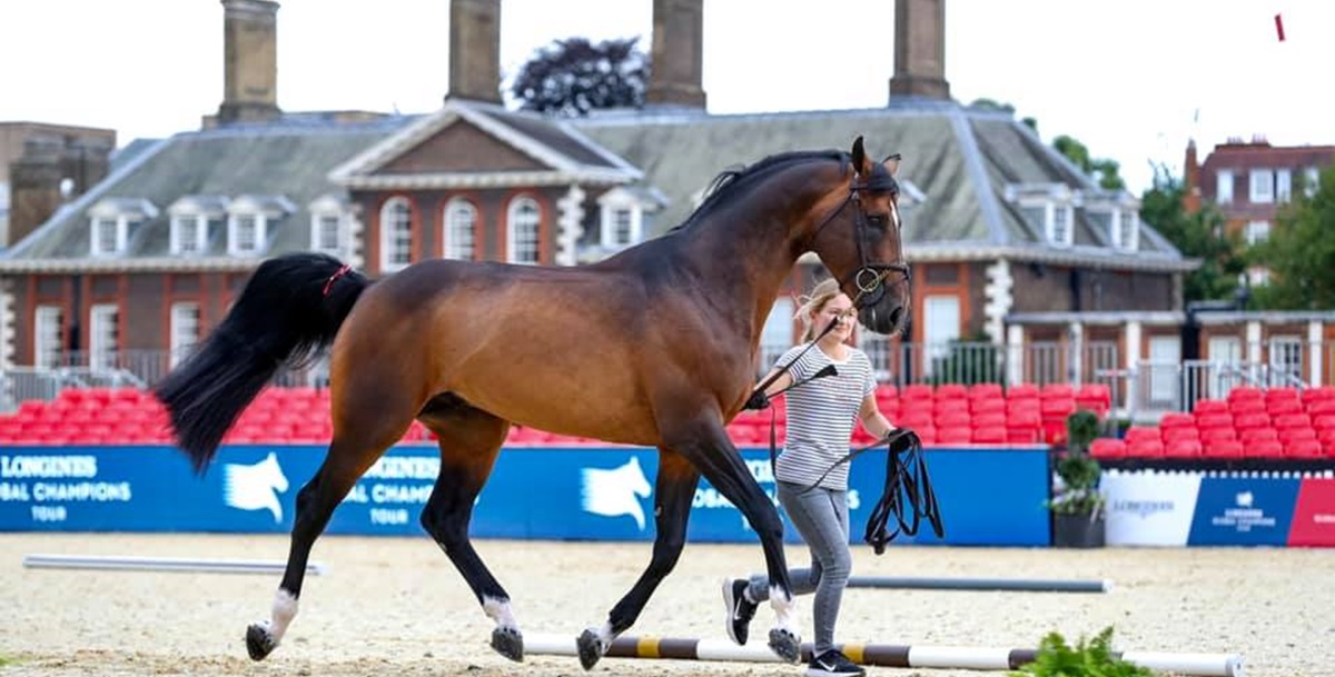 Lista dos Principais Eventos da Semana com Links para Informações sobre os Mesmos