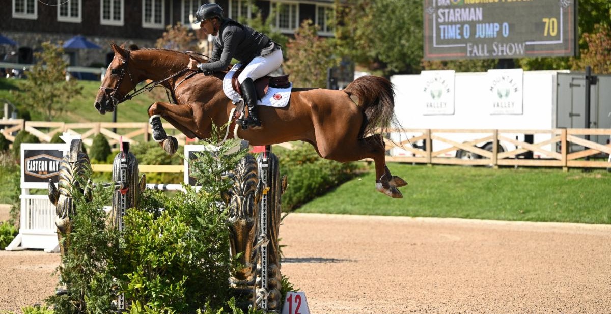 Brilhante Vitória de Rodrigo Pessoa & Starman no Grande Prêmio Blue Diamond Cup CSI 4*