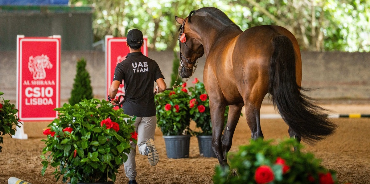 Tudo a Postos para a Copa das Nações Hoje com Participação Brasileira no Al Shira’aa CSIO 3* de Lisboa